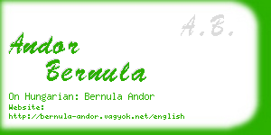 andor bernula business card